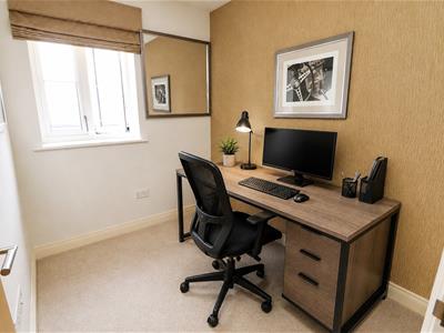 Picture 11